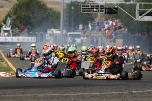 CALENDARIO 2015 del Campionato Italiano ACI Karting, Trofeo Nazionale e Coppa Italia