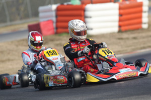 PARMA KARTING - IL TROFEO ANDREA MARGUTTI A LONATO SI PRESENTA CON 163 PILOTI, MOLTI PROTAGONISTI IN TUTTE LE CATEGORIE